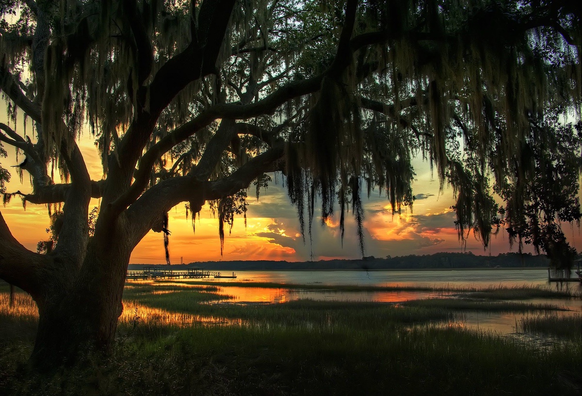 2025 Web Design Trends Savannah Businesses Should Actually Care About