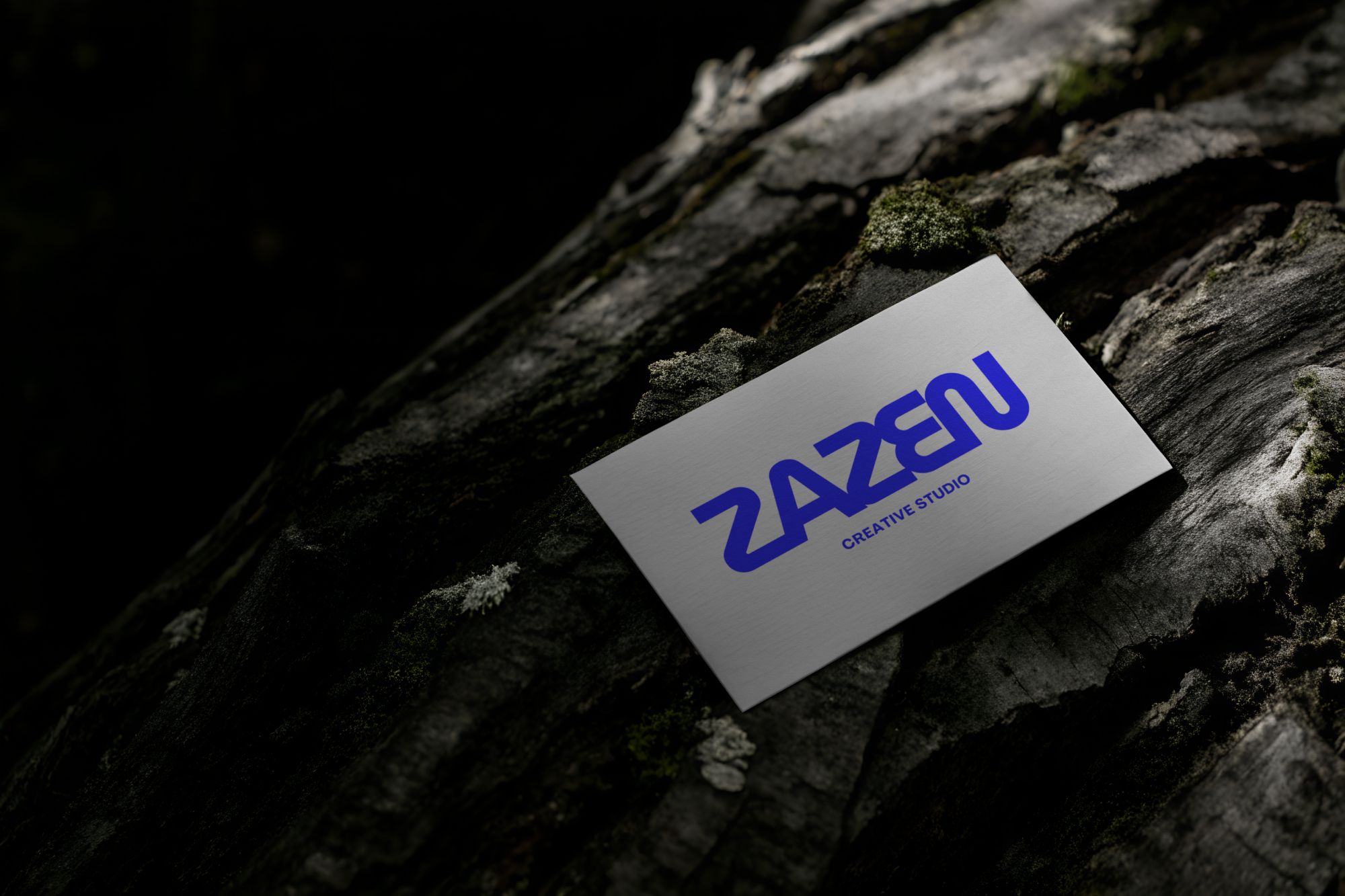 zazen designs savannah