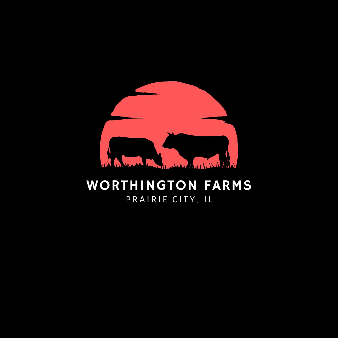 328674035_886298812574248_6429006847875934798_n